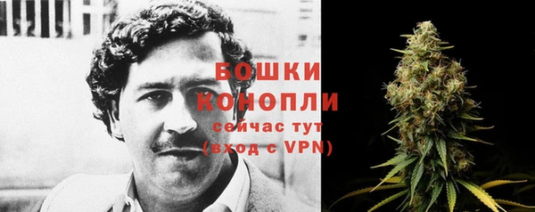 наркотики Белокуриха