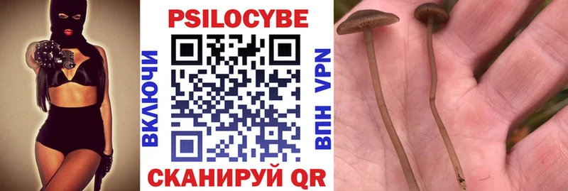где купить наркоту  Кубинка  Галлюциногенные грибы Magic Shrooms 